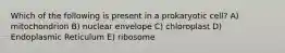 Which of the following is present in a prokaryotic cell? A) mitochondrion B) nuclear envelope C) chloroplast D) Endoplasmic Reticulum E) ribosome