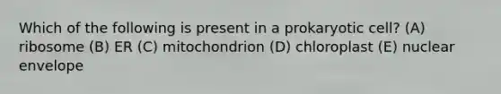 Which of the following is present in a prokaryotic cell? (A) ribosome (B) ER (C) mitochondrion (D) chloroplast (E) nuclear envelope