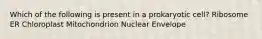 Which of the following is present in a prokaryotic cell? Ribosome ER Chloroplast Mitochondrion Nuclear Envelope