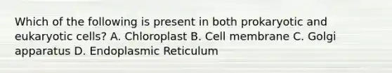 Which of the following is present in both prokaryotic and eukaryotic cells? A. Chloroplast B. Cell membrane C. Golgi apparatus D. Endoplasmic Reticulum