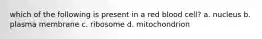 which of the following is present in a red blood cell? a. nucleus b. plasma membrane c. ribosome d. mitochondrion