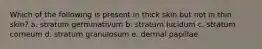 Which of the following is present in thick skin but not in thin skin? a. stratum germinativum b. stratum lucidum c. stratum corneum d. stratum granulosum e. dermal papillae