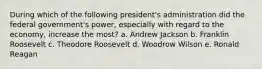 During which of the following president's administration did the federal government's power, especially with regard to the economy, increase the most? a. Andrew Jackson b. Franklin Roosevelt c. Theodore Roosevelt d. Woodrow Wilson e. Ronald Reagan