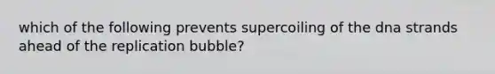 which of the following prevents supercoiling of the dna strands ahead of the replication bubble?