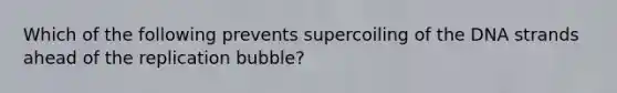 Which of the following prevents supercoiling of the DNA strands ahead of the replication bubble?