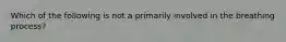 Which of the following is not a primarily involved in the breathing process?