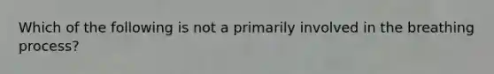 Which of the following is not a primarily involved in the breathing process?