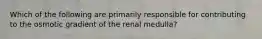 Which of the following are primarily responsible for contributing to the osmotic gradient of the renal medulla?