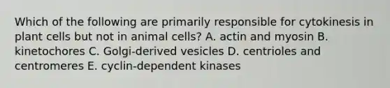 Which of the following are primarily responsible for cytokinesis in plant cells but not in animal cells? A. actin and myosin B. kinetochores C. Golgi-derived vesicles D. centrioles and centromeres E. cyclin-dependent kinases