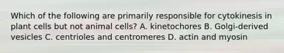 Which of the following are primarily responsible for cytokinesis in plant cells but not animal cells? A. kinetochores B. Golgi-derived vesicles C. centrioles and centromeres D. actin and myosin