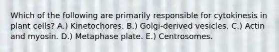 Which of the following are primarily responsible for cytokinesis in plant cells? A.) Kinetochores. B.) Golgi-derived vesicles. C.) Actin and myosin. D.) Metaphase plate. E.) Centrosomes.