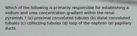 Which of the following is primarily responsible for establishing a sodium and urea concentration gradient within the renal pyramids ? (a) proximal convoluted tubules (b) distal convoluted tubules (c) collecting tubules (d) loop of the nephron (e) papillary ducts