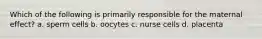 Which of the following is primarily responsible for the maternal effect? a. sperm cells b. oocytes c. nurse cells d. placenta
