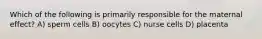 Which of the following is primarily responsible for the maternal effect? A) sperm cells B) oocytes C) nurse cells D) placenta