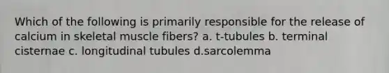 Which of the following is primarily responsible for the release of calcium in skeletal muscle fibers? a. t-tubules b. terminal cisternae c. longitudinal tubules d.sarcolemma