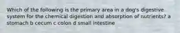 Which of the following is the primary area in a dog's digestive system for the chemical digestion and absorption of nutrients? a stomach b cecum c colon d small intestine