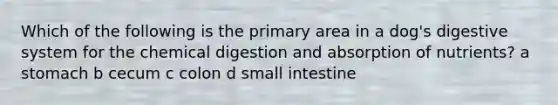 Which of the following is the primary area in a dog's digestive system for the chemical digestion and absorption of nutrients? a stomach b cecum c colon d small intestine