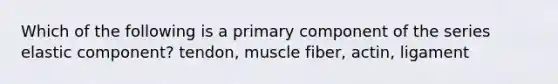 Which of the following is a primary component of the series elastic component? tendon, muscle fiber, actin, ligament