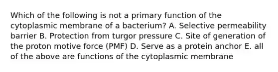 Which of the following is not a primary function of the cytoplasmic membrane of a bacterium? A. Selective permeability barrier B. Protection from turgor pressure C. Site of generation of the proton motive force (PMF) D. Serve as a protein anchor E. all of the above are functions of the cytoplasmic membrane