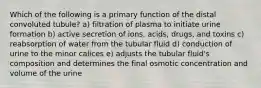 Which of the following is a primary function of the distal convoluted tubule? a) filtration of plasma to initiate urine formation b) active secretion of ions, acids, drugs, and toxins c) reabsorption of water from the tubular fluid d) conduction of urine to the minor calices e) adjusts the tubular fluid's composition and determines the final osmotic concentration and volume of the urine