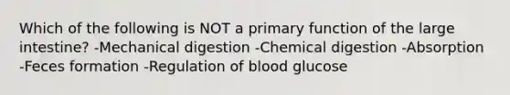 Which of the following is NOT a primary function of the large intestine? -Mechanical digestion -Chemical digestion -Absorption -Feces formation -Regulation of blood glucose