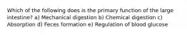 Which of the following does is the primary function of the large intestine? a) Mechanical digestion b) Chemical digestion c) Absorption d) Feces formation e) Regulation of blood glucose