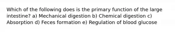 Which of the following does is the primary function of the large intestine? a) Mechanical digestion b) Chemical digestion c) Absorption d) Feces formation e) Regulation of blood glucose