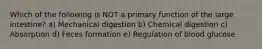Which of the following is NOT a primary function of the large intestine? a) Mechanical digestion b) Chemical digestion c) Absorption d) Feces formation e) Regulation of blood glucose
