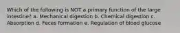 Which of the following is NOT a primary function of the large intestine? a. Mechanical digestion b. Chemical digestion c. Absorption d. Feces formation e. Regulation of blood glucose