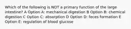 Which of the following is NOT a primary function of the large intestine? A Option A: mechanical digestion B Option B: chemical digestion C Option C: absorption D Option D: feces formation E Option E: regulation of blood glucose