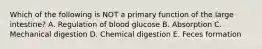 Which of the following is NOT a primary function of the large intestine? A. Regulation of blood glucose B. Absorption C. Mechanical digestion D. Chemical digestion E. Feces formation