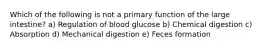 Which of the following is not a primary function of the large intestine? a) Regulation of blood glucose b) Chemical digestion c) Absorption d) Mechanical digestion e) Feces formation