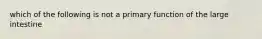 which of the following is not a primary function of the large intestine