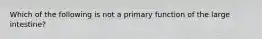 Which of the following is not a primary function of the large intestine?