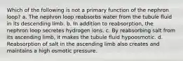 Which of the following is not a primary function of the nephron loop? a. The nephron loop reabsorbs water from the tubule fluid in its descending limb. b. In addition to reabsorption, the nephron loop secretes hydrogen ions. c. By reabsorbing salt from its ascending limb, it makes the tubule fluid hypoosmotic. d. Reabsorption of salt in the ascending limb also creates and maintains a high osmotic pressure.