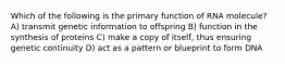 Which of the following is the primary function of RNA molecule? A) transmit genetic information to offspring B) function in the synthesis of proteins C) make a copy of itself, thus ensuring genetic continuity D) act as a pattern or blueprint to form DNA