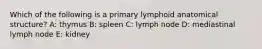 Which of the following is a primary lymphoid anatomical structure? A: thymus B: spleen C: lymph node D: mediastinal lymph node E: kidney