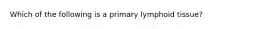 Which of the following is a primary lymphoid tissue?