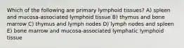 Which of the following are primary lymphoid tissues? A) spleen and mucosa-associated lymphoid tissue B) thymus and bone marrow C) thymus and lymph nodes D) lymph nodes and spleen E) bone marrow and mucosa-associated lymphatic lymphoid tissue