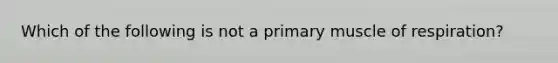 Which of the following is not a primary muscle of respiration?