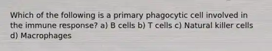 Which of the following is a primary phagocytic cell involved in the immune response? a) B cells b) T cells c) Natural killer cells d) Macrophages