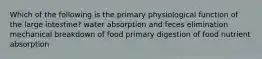 Which of the following is the primary physiological function of the large intestine? water absorption and feces elimination mechanical breakdown of food primary digestion of food nutrient absorption