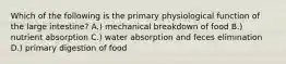 Which of the following is the primary physiological function of the large intestine? A.) mechanical breakdown of food B.) nutrient absorption C.) water absorption and feces elimination D.) primary digestion of food