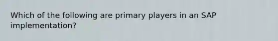 Which of the following are primary players in an SAP implementation?