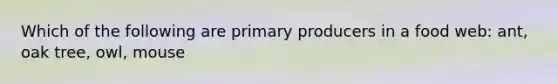Which of the following are primary producers in a food web: ant, oak tree, owl, mouse