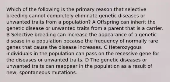 Which of the following is the primary reason that selective breeding cannot completely eliminate genetic diseases or unwanted traits from a population? A Offspring can inherit the genetic disease or unwanted traits from a parent that is a carrier. B Selective breeding can increase the appearance of a genetic disease in a population because the frequency of normally rare genes that cause the disease increases. C Heterozygous individuals in the population can pass on the recessive gene for the diseases or unwanted traits. D The genetic diseases or unwanted traits can reappear in the population as a result of new, spontaneous mutations.