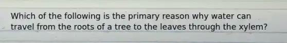 Which of the following is the primary reason why water can travel from the roots of a tree to the leaves through the xylem?