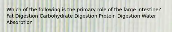 Which of the following is the primary role of the <a href='https://www.questionai.com/knowledge/kGQjby07OK-large-intestine' class='anchor-knowledge'>large intestine</a>? Fat Digestion Carbohydrate Digestion Protein Digestion Water Absorption