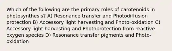 Which of the following are the primary roles of carotenoids in photosynthesis? A) Resonance transfer and Photodiffusion protection B) Accessory light harvesting and Photo-oxidation C) Accessory light harvesting and Photoprotection from reactive oxygen species D) Resonance transfer pigments and Photo-oxidation