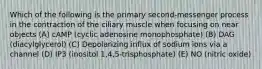 Which of the following is the primary second-messenger process in the contraction of the ciliary muscle when focusing on near objects (A) cAMP (cyclic adenosine monophosphate) (B) DAG (diacylglycerol) (C) Depolarizing influx of sodium ions via a channel (D) IP3 (inositol 1,4,5-trisphosphate) (E) NO (nitric oxide)